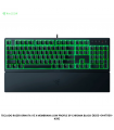 TECLADO RAZER ORNATA V3 X MEMBRANA LOW PROFILE SP CHROMA BLACK (RZ03-04471100-R311)