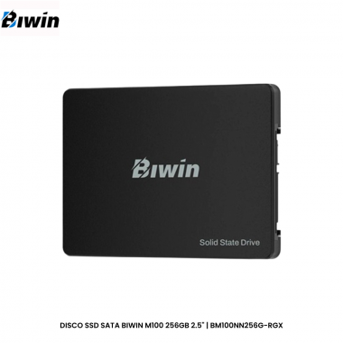 DISCO SSD SATA BIWIN M100 256GB 2.5" | BM100NN256G-RGX
