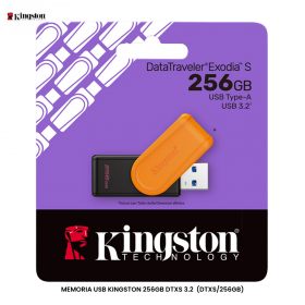 MEMORIA USB KINGSTON 256GB DTXS 3.2  (DTXS/256GB)